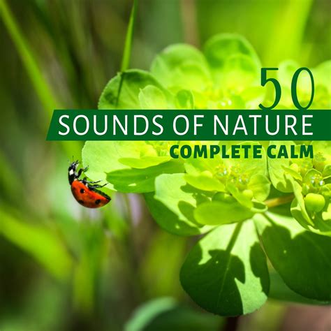 ‎50 Sounds of Nature: Complete Calm - New Age Yoga Meditation Music ...