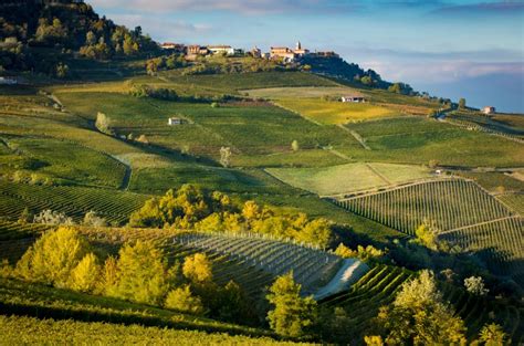 Barolo wine region