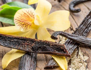 What Are the Health Benefits of Vanilla Extract?