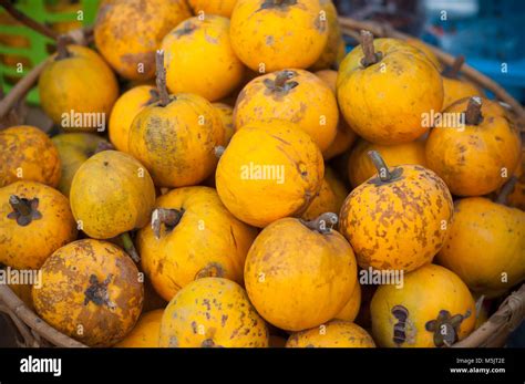 Close up Lucuma ripe yellow group on basket market street fruit ...