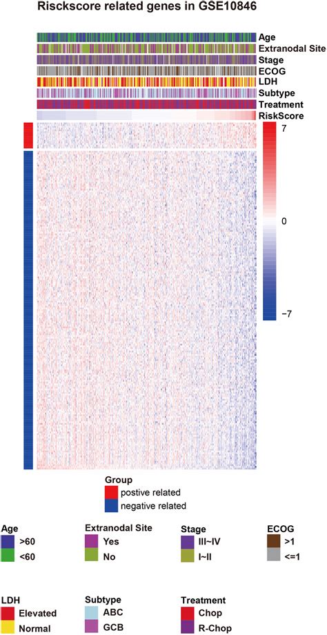 B7-CD28 gene family expression is associated with prognostic and ...