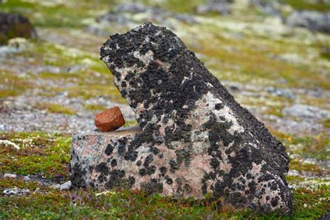 Stones on the Coast of the Barents Sea, Kola Peninsula, Russia Stock ...