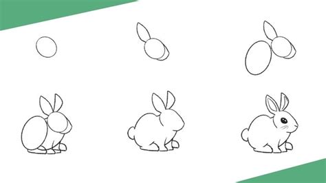 Rabbit Drawing Step By Step