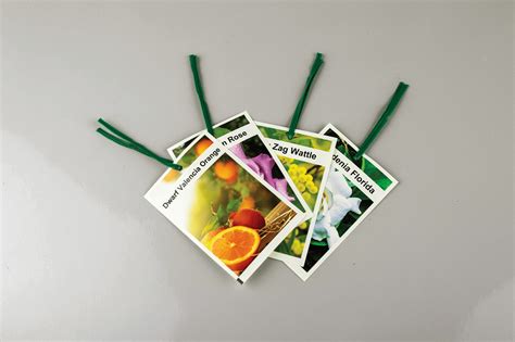 #1 in Plant Label Printing | Best Nursery Plant Labels & Tags