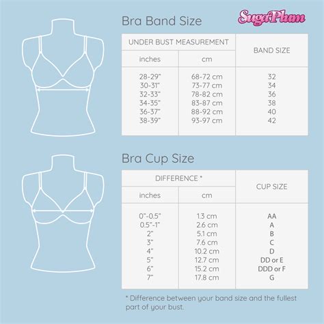 China Bra Size Chart