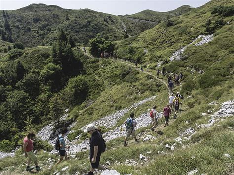 Soriška Planina - pohodništvo