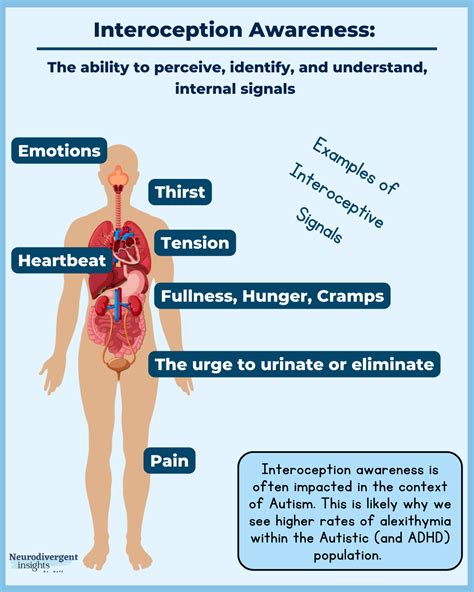 Autism, ADHD, and Homeostasis