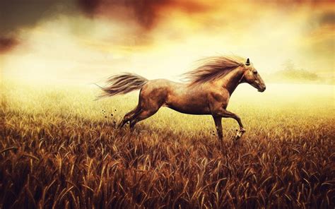 Running Horses Wallpaper (63+ images)