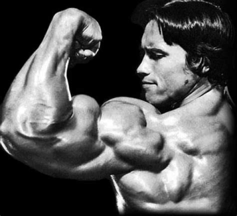 Bodybuilding Secrets: Schwarzenegger's Tips for Success - CalorieBee