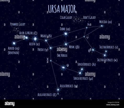 Full Ursa Major (Great Bear, Big Dipper) constellation, vector ...