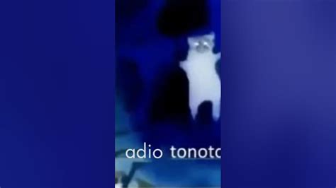 3 tipos de hola tonotos,adio tonotos,ahorita vuelvo tonotos - YouTube