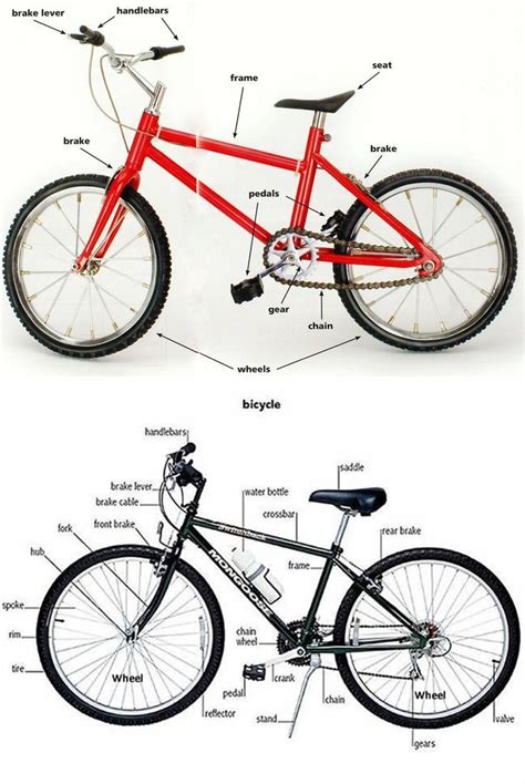 A bicycle, also called a cycle or bike, is a human-powered, pedal ...