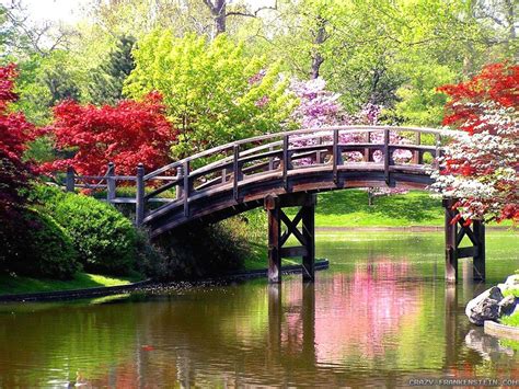 Beautiful Spring Scenery Wallpapers on WallpaperDog