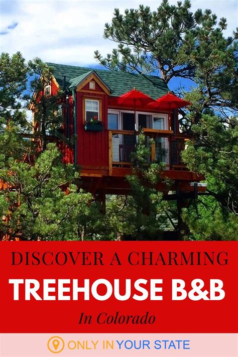 Sleep Among Towering Pines At The Little Red Treehouse In Colorado ...