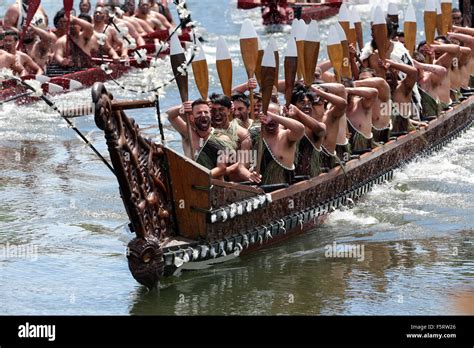 Ngaruawahia, New Zealand - November 8, 2015 - Five waka, maori canoes ...