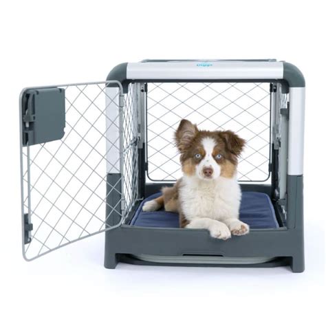 Diggs Revol Dog Crate Review | Apartment Therapy