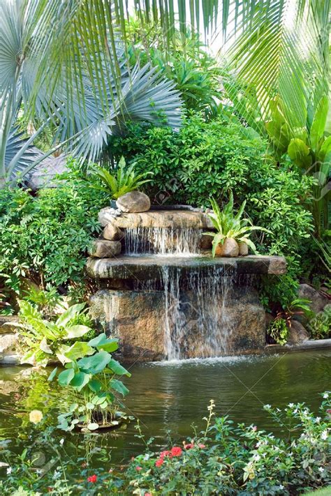 Small waterfall in tropical garden | Tropical garden, Tropical ...