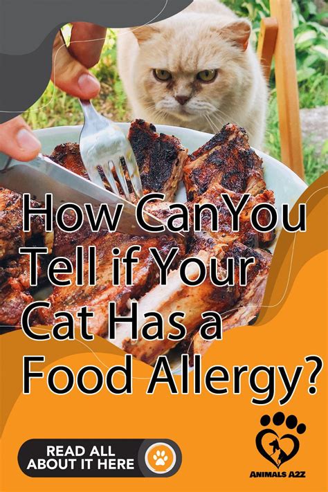 How Can You Tell if Your Cat Has a Food Allergy? | Food allergies, Cat ...