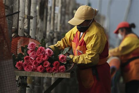 Exportaciones de flores incrementaría mínimo 10% de su flujo hacía USA