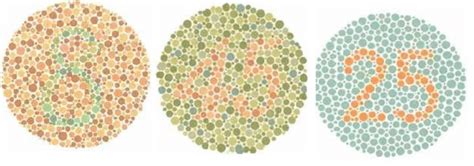 This image shows three (of the thirty eight) Ishihara test plates. If ...