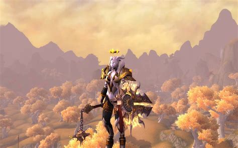 Starless the Protection Paladin from Moon Guard in her transmog for her ...