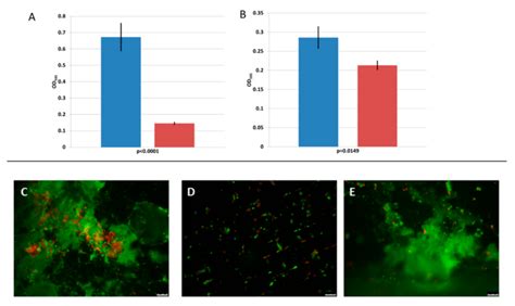 Biofilm prevention (A) and biofilm removal ability (B) of the ...