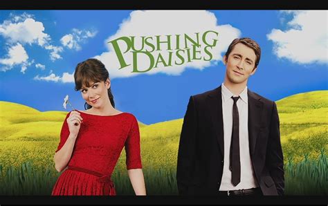 Pushing Dasies - Pushing Daisies Photo (6279704) - Fanpop