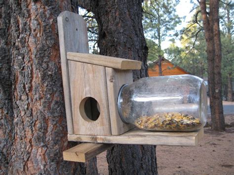 Squirrel Feeder - by ROY53 @ LumberJocks.com ~ woodworking community ...