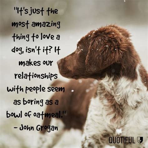 National Dog Day Quotes - ShortQuotes.cc