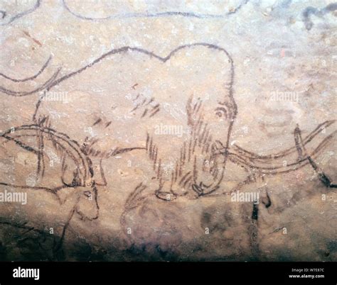 Ibex cave painting rouffignac hi-res stock photography and images - Alamy