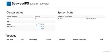 Seaweedfs-支持存储海量小文件的分布式文件系统 - 掘金