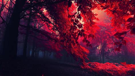 Red Landscape Wallpapers - Top Free Red Landscape Backgrounds ...