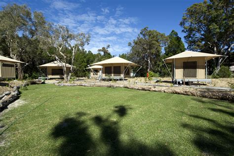 Glamping village on Moreton island. | Glamping, Camping experience ...