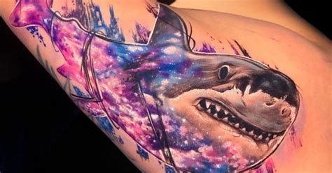 23 Shark Tattoo Ideas and Meanings - 2024 Guide