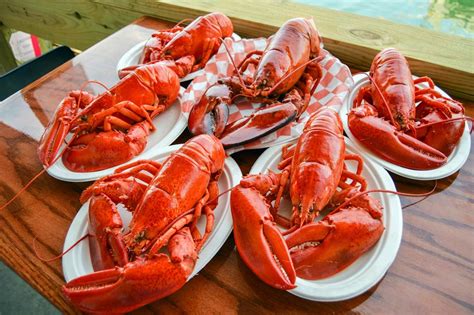 Down the Maine Lobster Trail - A Culinary Adventure