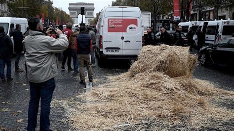 Farmers protest in French cities over falling prices