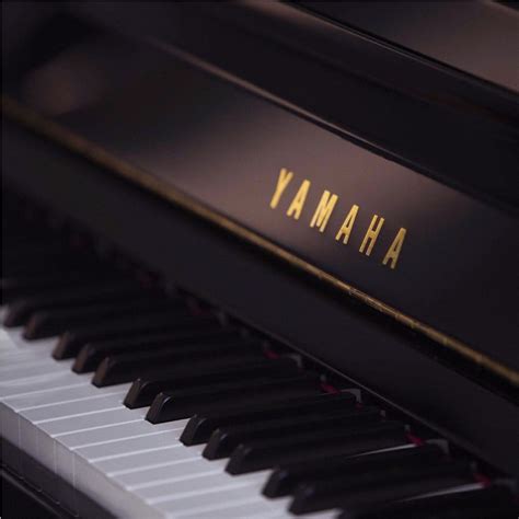 b Series - Overview - UPRIGHT PIANOS - Pianos - Musical Instruments ...