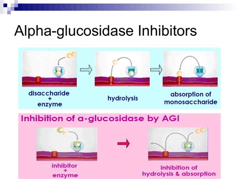 Voglibose