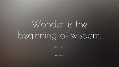 Socrates Quotes (100 wallpapers) - Quotefancy