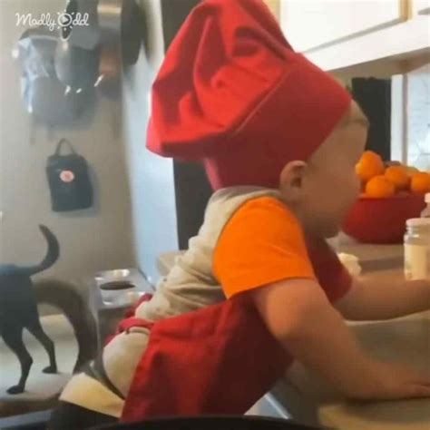 Cutest baby chef goes viral with his cooking videos – Madly Odd!