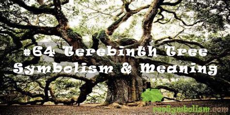 #64 Terebinth Tree – Symbolism & Meaning