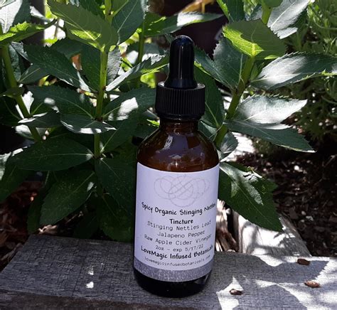 Organic Stinging Nettle Root Tincture Nettle Liquid Herbal | Etsy