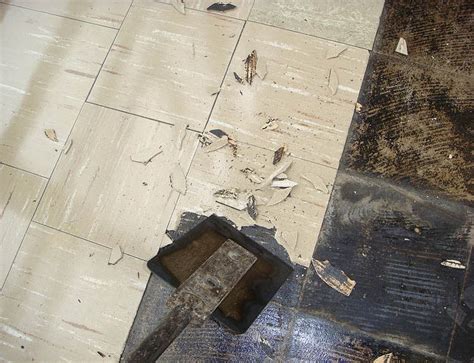 Testing For Asbestos In Vinyl Flooring – Flooring Ideas