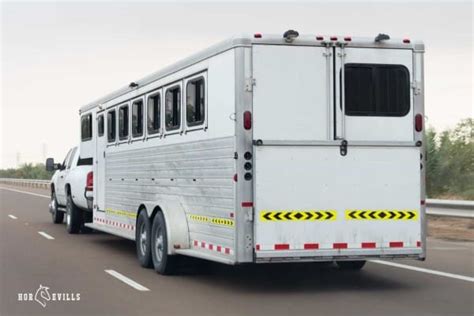 How Tall is a Horse Trailer? [Height Options & What You Need]