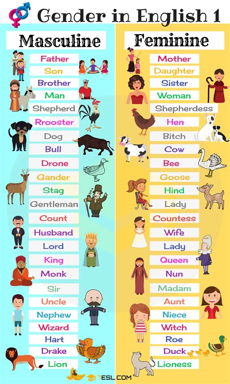 Gender Of Nouns Useful Masculine And Feminine List • 7esl | Free ...