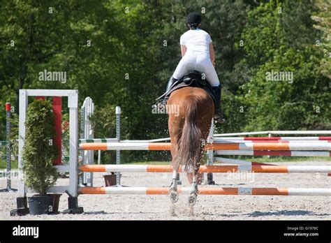 Horse jumping obstacle - showjumping Stock Photo - Alamy