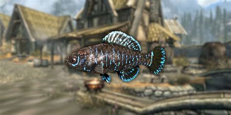 Skyrim: How to Catch Pygmy Sunfish