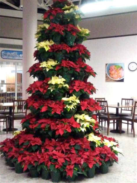 Poinsettia Tree | ThriftyFun