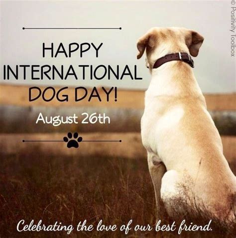 Funny National Dog Day Dog National International Hug 2021 Happiness ...