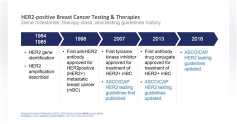 Breast cancer biomarkers, and a new clinical category for HER2 ...